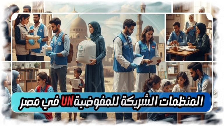 المنظمات الشريكة للمفوضية UN في مصر