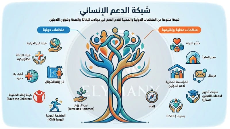 المنظمات الشريكة للمفوضية UN في مصر