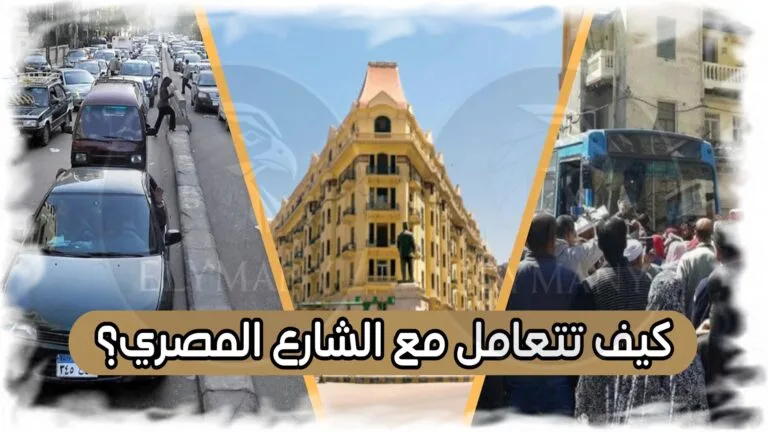 كيف تتعامل مع الشارع المصري؟ بأمان وتجنب المشاكل سواء كنت سائح أو مقيم
