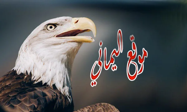 موقع اليماني 2 elymany website