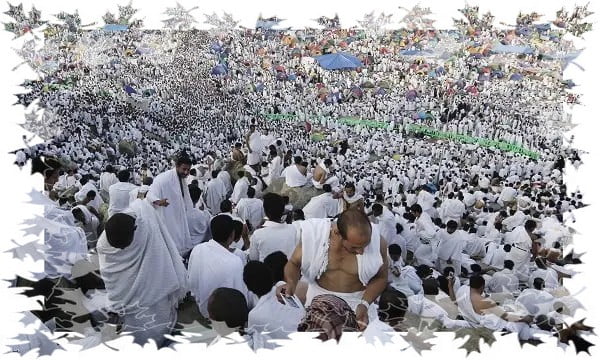 دليلك الشامل لمناسك الحج والعمرة: خطوات، شروط، وأحكام من الإحرام حتى طواف الوداع 5 مناسك الحج والعمرة - الوقوف بعرفة - يوم عرفة - جبل عرفة