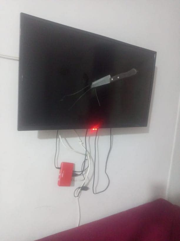 تهاني الذماري قضية رأي عام الجزء الثاني 2022 10 تهاني الذماري موقع اليماني