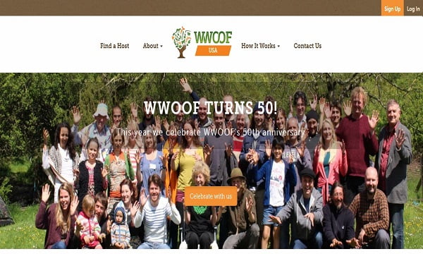 التطوع في أمريكا