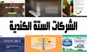 الشركات الستة الكندية لبرنامج الهجرة السريع الجديد