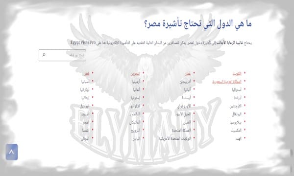 تأشيرة مصر عند الوصول 2025 استمتع بسفر سهل دون تعقيدات 3 كيف تحصل على تأشيرة عند الوصول إلى مصر؟