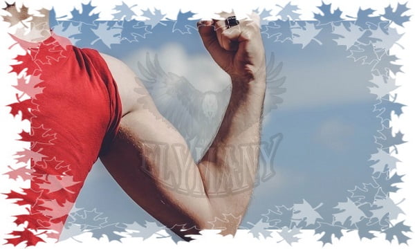 كيف تسيطر على حياتك وتروض دماغك البرمائي: دليل شامل لتحقيق التغيير الإيجابي 3 دليل شامل