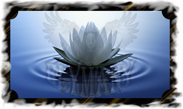 كيفية إجبار عقلك على القيام بأشياء صعبة طريقة اللوتس من الفلسفة الشرقية 2 كيفية إجبار عقلك على القيام بأشياء صعبة طريقة اللوتس من الفلسفة الشرقية