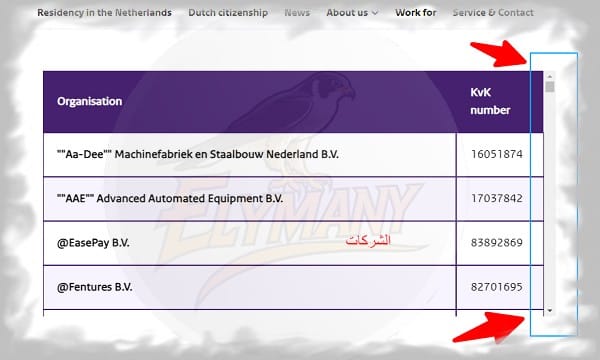 الفيزا الهولندية لأصحاب المهارات العالية طريقك السريع إلى العمل في هولندا 2025 3 الفيزا الهولندية لأصحاب المهارات العالية طريقك السريع إلى العمل في هولندا