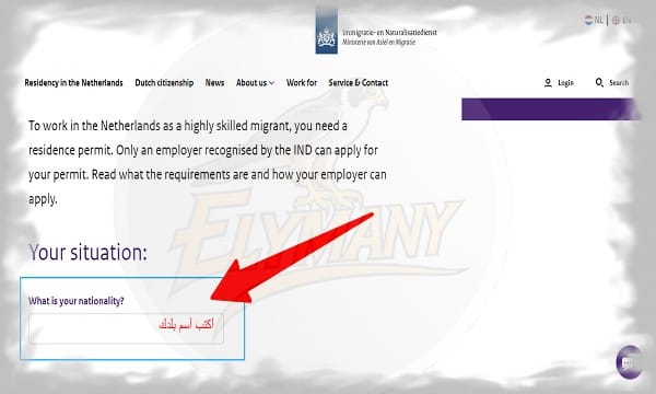 الفيزا الهولندية لأصحاب المهارات العالية طريقك السريع إلى العمل في هولندا 2025 2 الفيزا الهولندية لأصحاب المهارات العالية طريقك السريع إلى العمل في هولندا