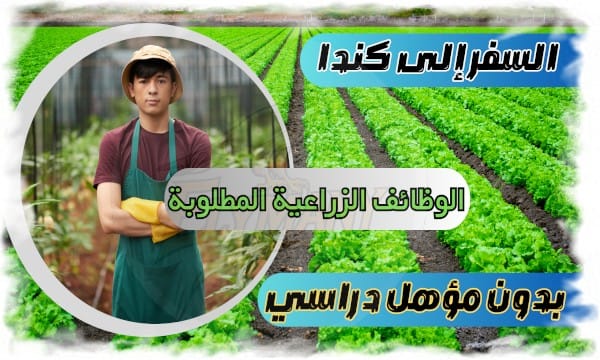 السفر إلى كندا بدون مؤهل دراسي: كيف تتقدم خطوة بخطوة من أجل الهجرة إلى كندا 1 السفر إلى كندا بدون مؤهل دراسي: كيف تتقدم خطوة بخطوة من أجل الهجرة إلى كندا