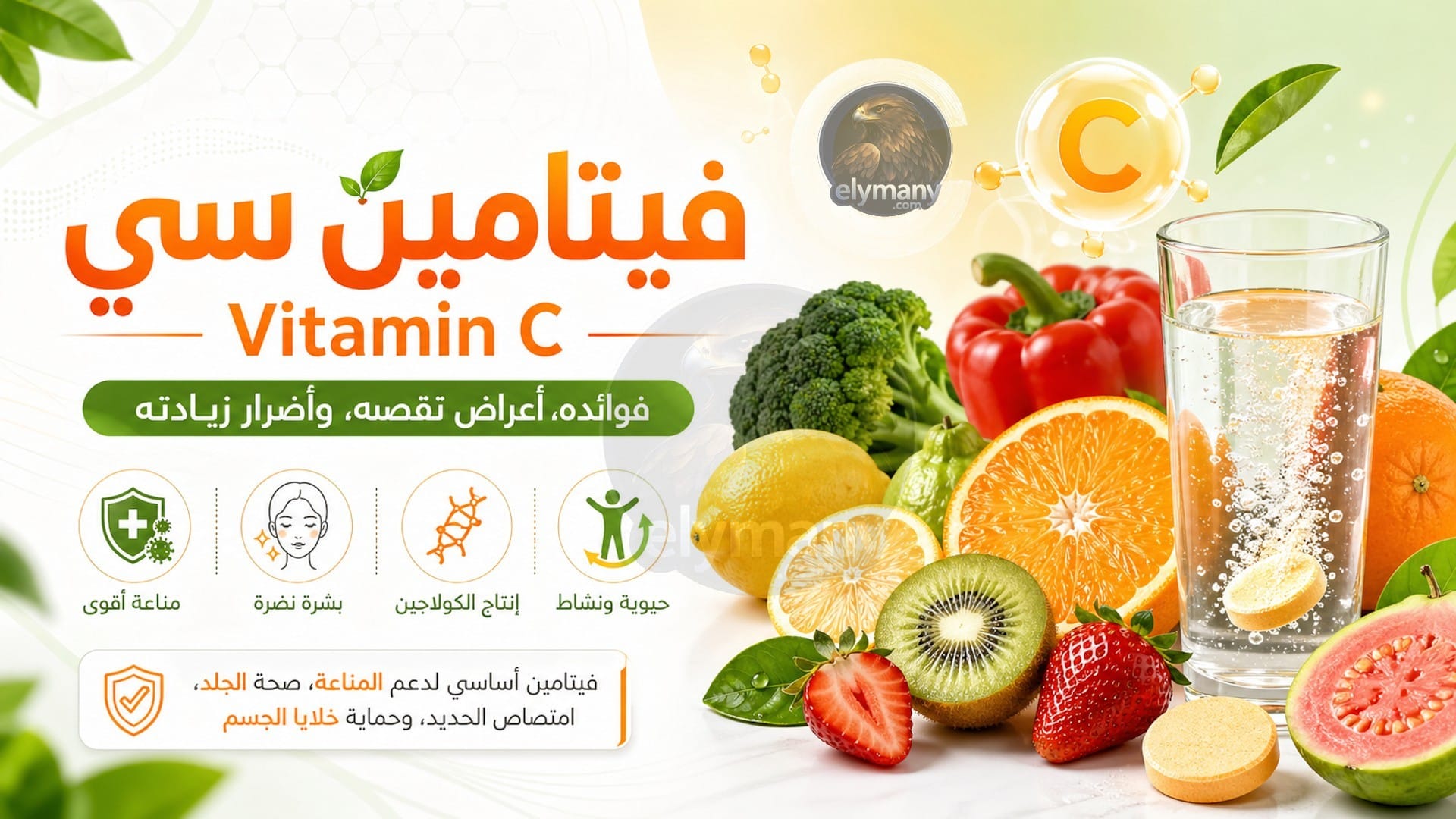 فيتامين سي‎ (Vitamin C): ‎فوائده، أعراض نقصه، وأضرار زيادته