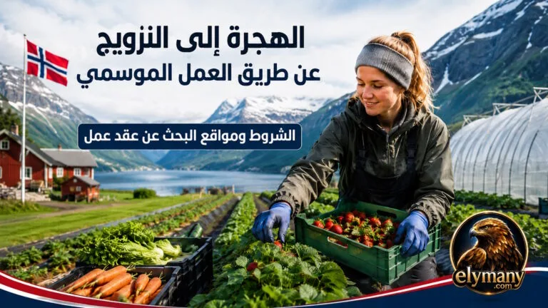 الهجرة إلى النرويج عن طريق العمل الموسمي 2026: الشروط ومواقع البحث عن عقد عمل 9 الهجرة إلى النرويج عن طريق العمل الموسمي: الشروط ومواقع البحث عن عقد عمل