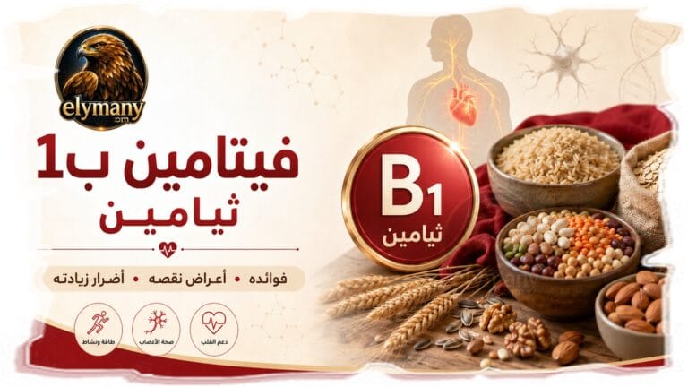فيتامين ب1 ثيامين‎ (Vitamin B1): ‎فوائده، أعراض نقصه، وأضرار زيادته
