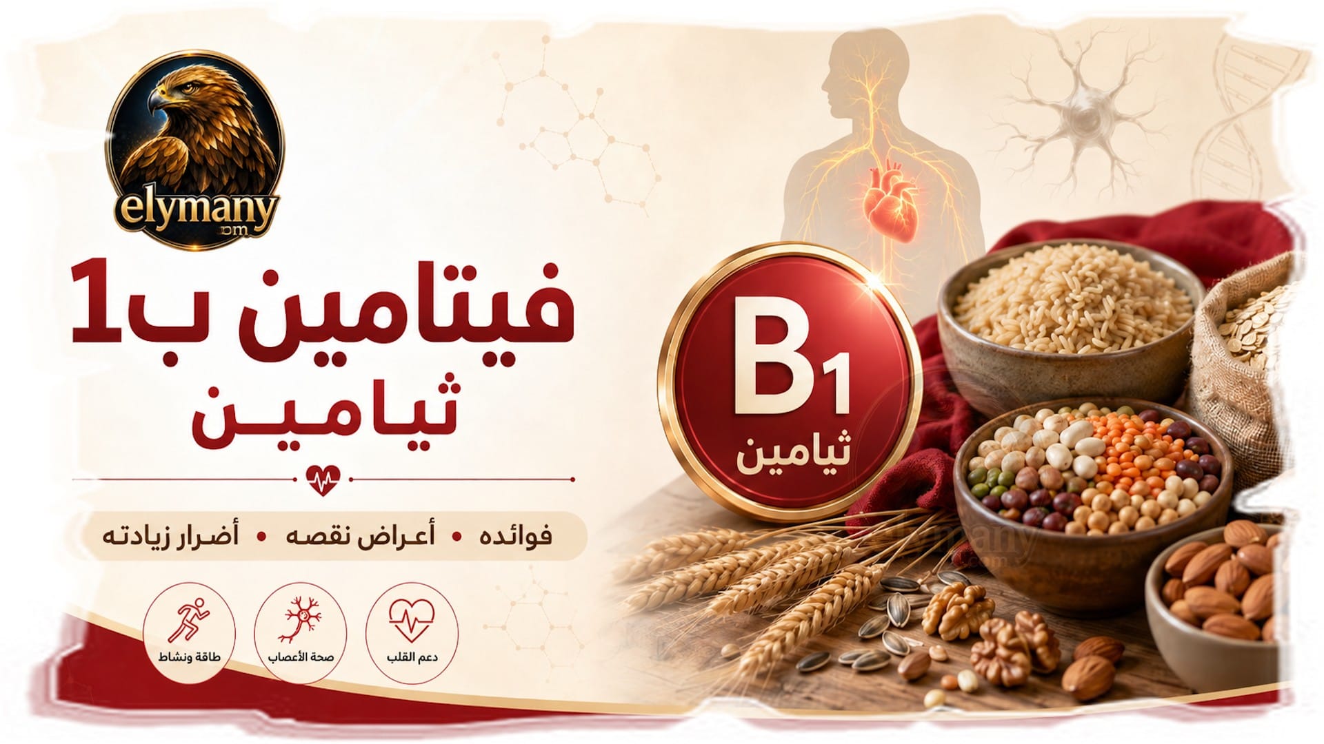 فيتامين ب1 ثيامين‎ (Vitamin B1): ‎فوائده، أعراض نقصه، وأضرار زيادته