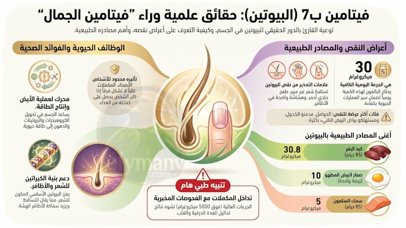 فيتامين ب7 البيوتين (Vitamin B7): فوائده، أعراض نقصه، وأضرار زيادته 2026 2 فيتامين ب7 البيوتين (Vitamin B7): فوائده، أعراض نقصه، وأضرار زيادته