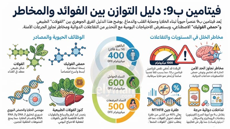 فيتامين ب9 حمض الفوليك (Vitamin B9): فوائده، أعراض نقصه، وأضرار زيادته 2026 2 فيتامين ب9 حمض الفوليك (Vitamin B9): فوائده، أعراض نقصه، وأضرار زيادته