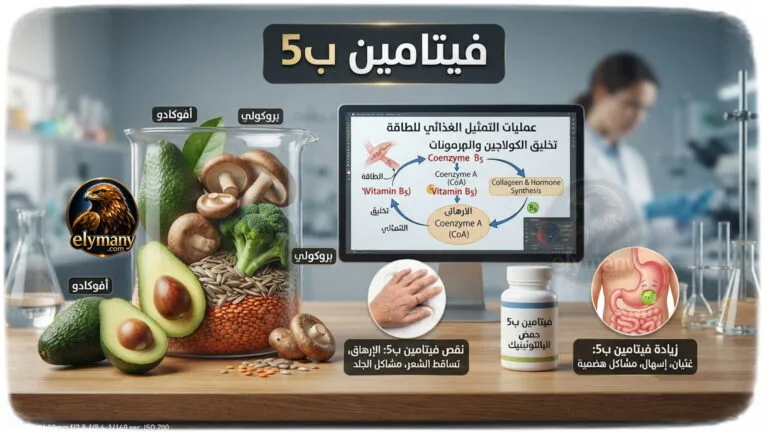 فيتامين ب5 حمض البانتوثينيك‎ (Vitamin B5): ‎فوائده، أعراض نقصه، وأضرار زيادته