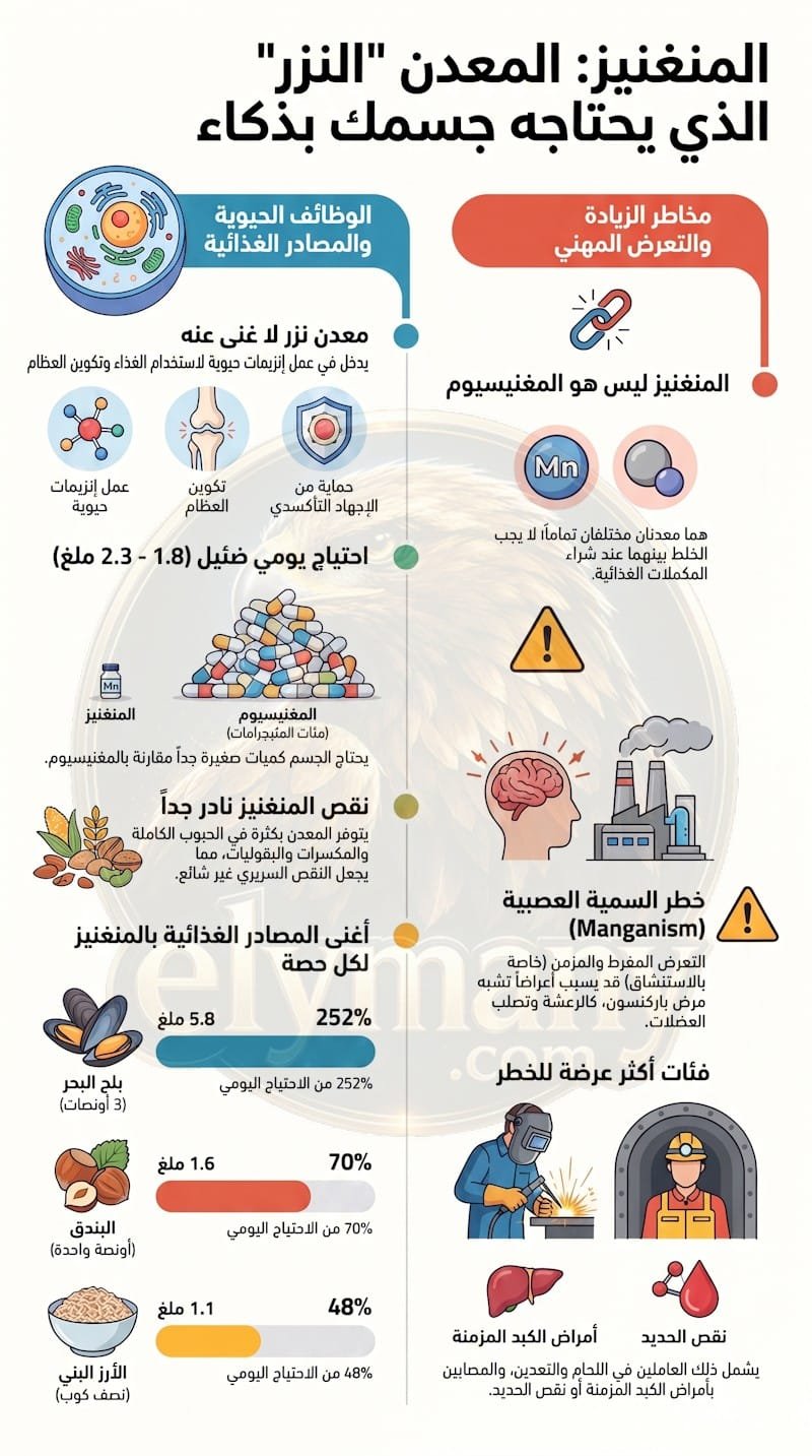 المنغنيز‎ (Manganese): ‎الفوائد، أعراض النقص، أضرار الزيادة، وأفضل المصادر الغذائية‎ ‎