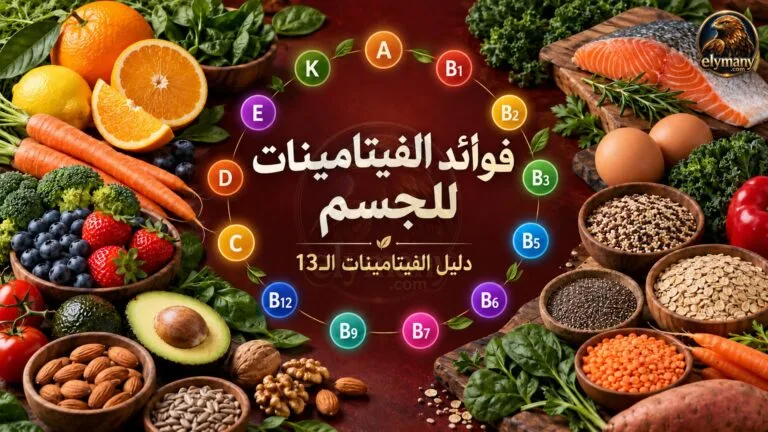 فوائد الفيتامينات: فوائد الفيتامينات الـ13 للجسم