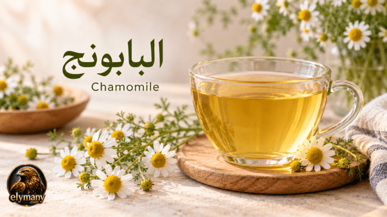 البابونج (Chamomile): الفوائد المحتملة وطريقة الاستخدام والأضرار والتداخلات الدوائية