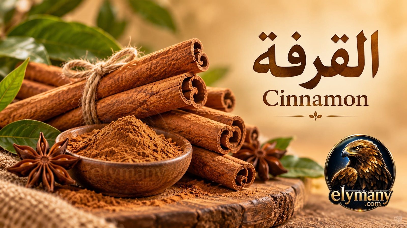 القرفة (Cinnamon): الفوائد المحتملة وطريقة الاستخدام والأضرار والتداخلات الدوائية