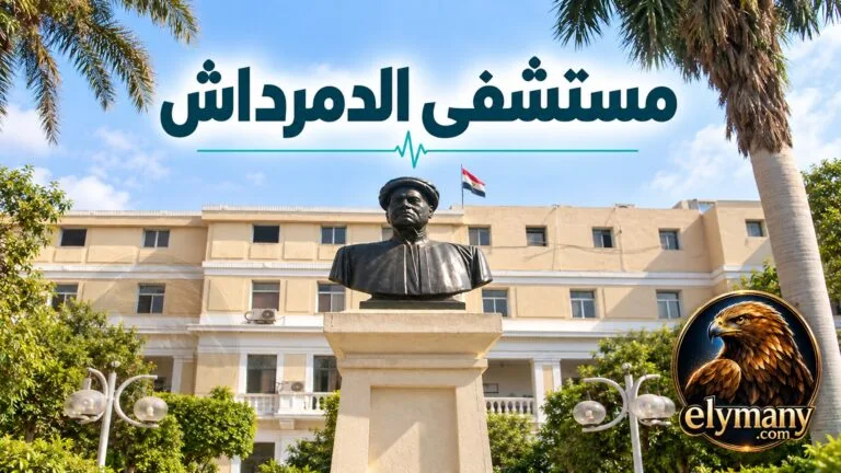 مستشفى الدمرداش العيادات والحجز والأرقام والعنوان الكلمة المفتاحية الرئيسية: مستشفى الدمرداش