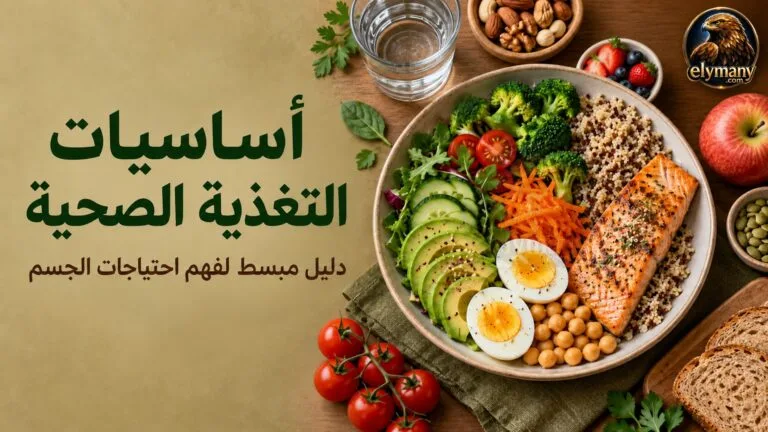 أساسيات التغذية الصحية: دليل مبسط لفهم احتياجات الجسم