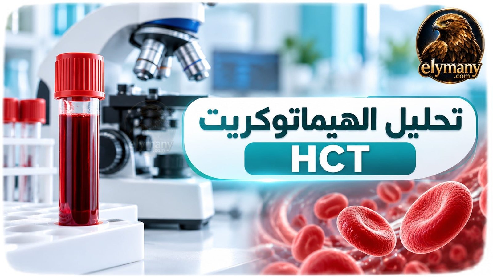 تحليل الهيماتوكريت HCT: ماذا يقيس وما معنى ارتفاعه أو انخفاضه؟