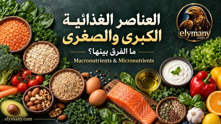 العناصر الغذائية الكبرى والصغرى: ما الفرق بينها؟