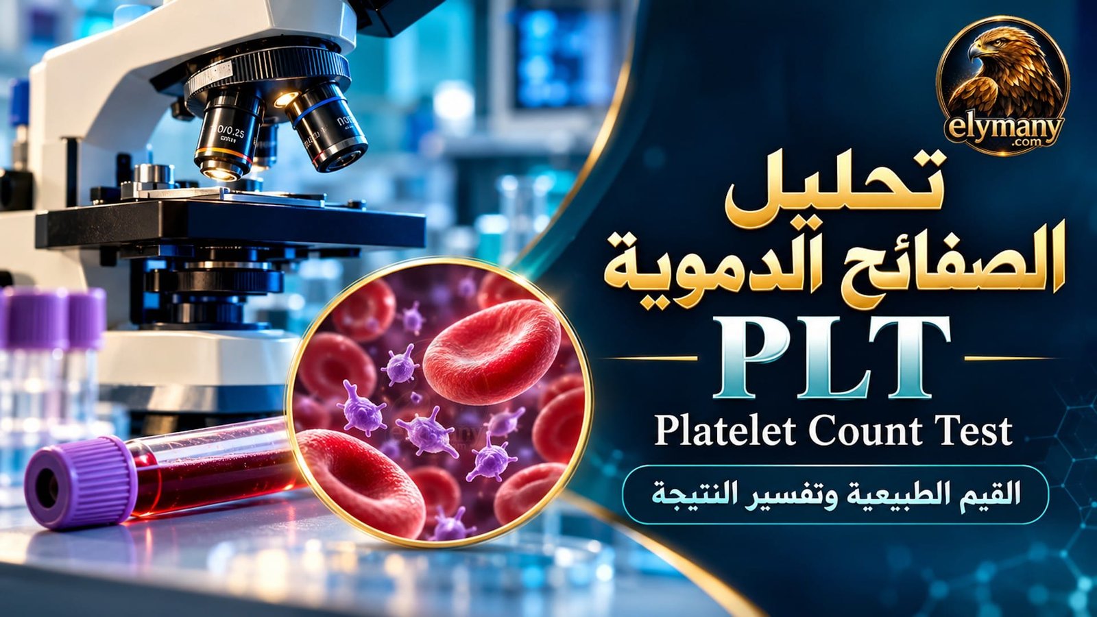 تحليل الصفائح الدموية PLT: القيم الطبيعية وتفسير النتيجة