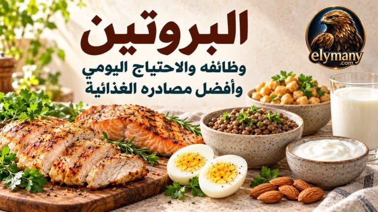 البروتين: وظائفه والاحتياج اليومي وأفضل مصادره الغذائية