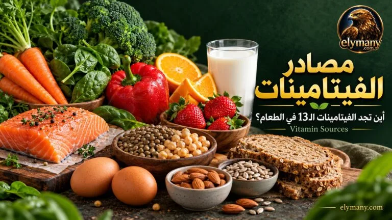 مصادر الفيتامينات: أين تجد الفيتامينات الـ13 في الطعام؟