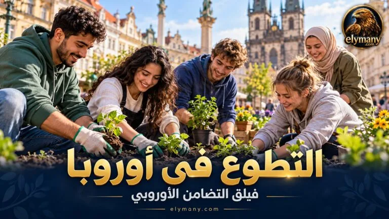 التطوع في أوروبا عبر فيلق التضامن الأوروبي شروط القبول وطريقة التقديم